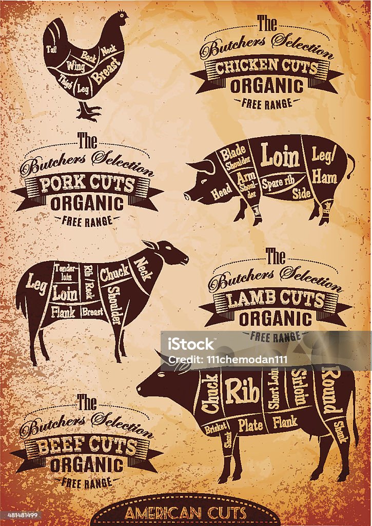 Вектор Схема с тушек Цыпленок, свинья, Корова, lamb - Векторная графика Кулинарный карвинг роялти-фри