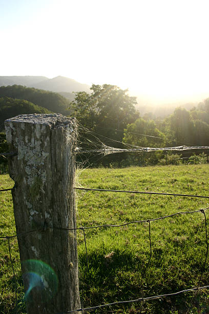 istock Green Pastures of Farm Landscape 481481571