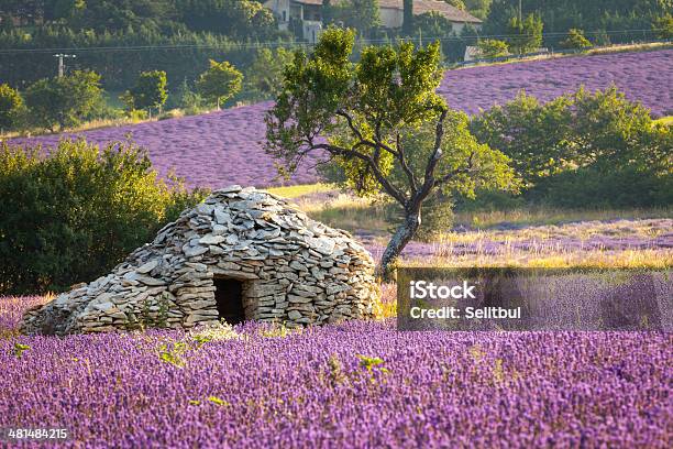 Borie Drystoned House Sault Region Vaucluse Provence Stock Photo - Download Image Now