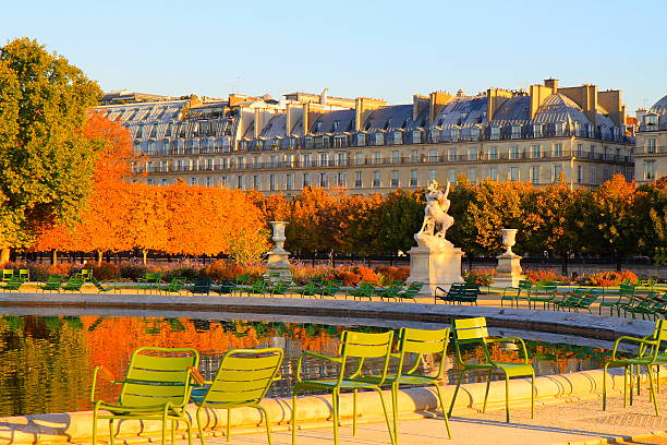 jardin des tuileries bereich im herbst sonnigen sonnenaufgang, paris, frankreich - flower bed formal garden ornamental garden furniture stock-fotos und bilder