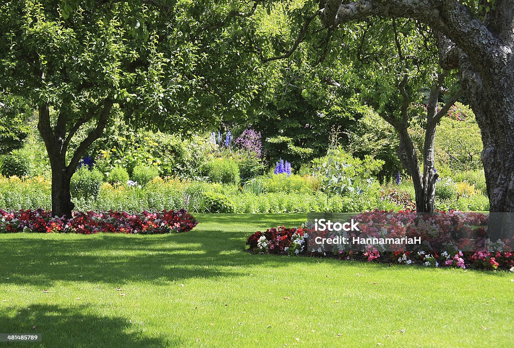 Summer garden Beautiful summer garden with flower beds filled with begonias.  Yard - Grounds Stock Photo