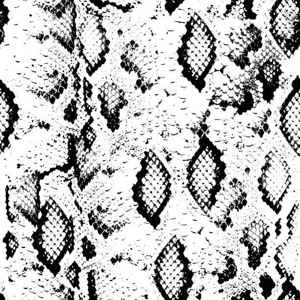 wąż skóry. bezszwowe wzór czarne na białym tle. wektor - snakeskin snake animal skin pattern stock illustrations