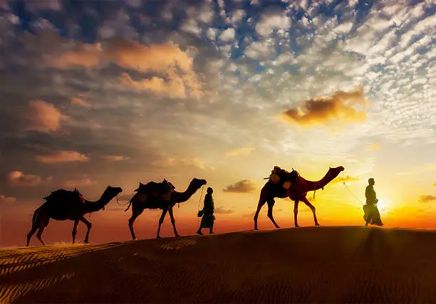 Travel background - two cameleers (camel drivers) with camels silhouettes in dunes of  desert on sunset