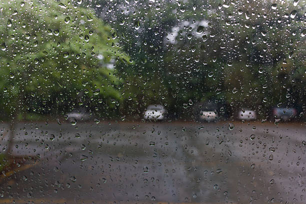 istock Rain drops on the other side of the glass. 481491266