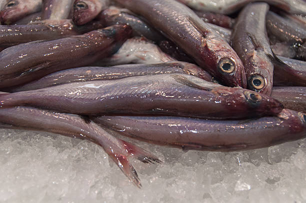 Fresh fish on the market. stock photo