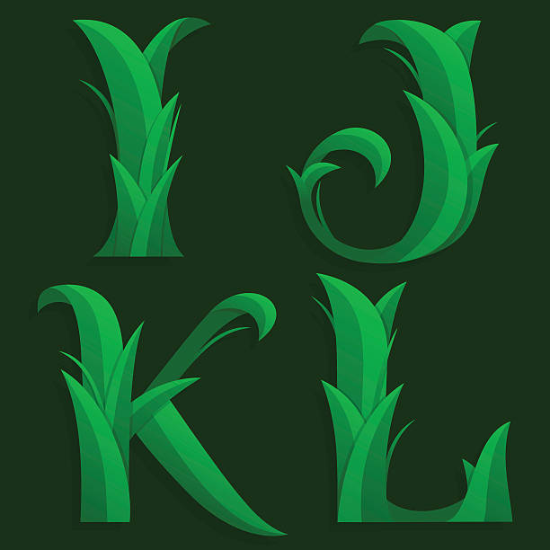 ilustraciones, imágenes clip art, dibujos animados e iconos de stock de decorativo hierba inicial letras e, j, k, l. - letter i letter j letter k letter l