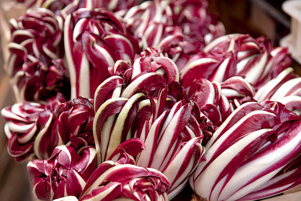 trévise - radicchio photos et images de collection