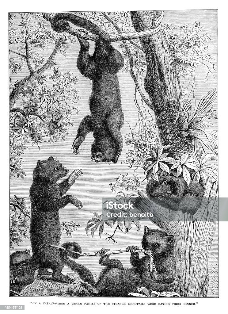 Marsupials jouant dans un arbre - Illustration de Antiquités libre de droits