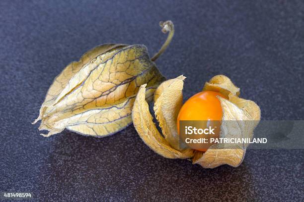 Physalis On A Dark Background Stock Photo - Download Image Now - 2015, Berry Fruit, Chinese Lantern Lily