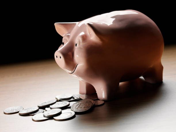 istock Pink Piggy Bank with American Cent Coins 481498911