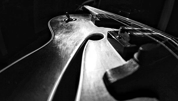 istock arch top guitar black and white 481500217