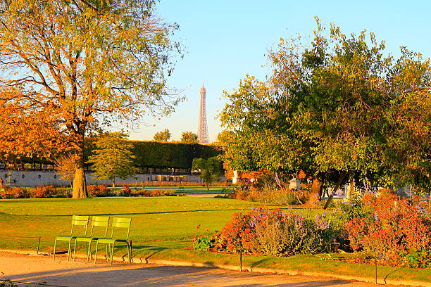 Jardin des Tuileries at autumn sunrise and Eiffel Tower, Paris