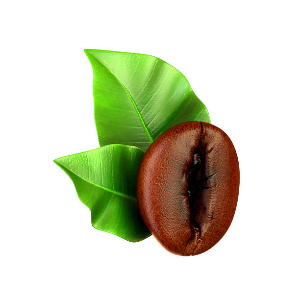 Grain black coffee with leaves.