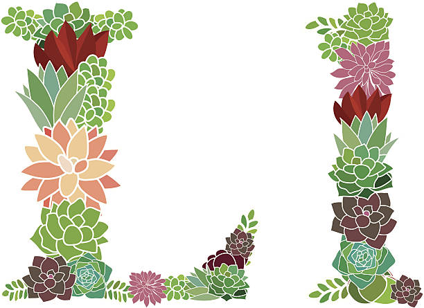 Succulent letter L and l vector art illustration