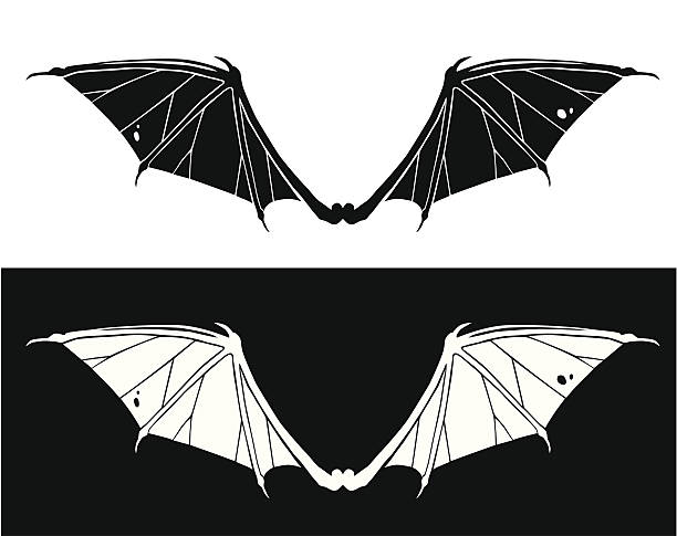 ilustraciones, imágenes clip art, dibujos animados e iconos de stock de alas del bat - bat halloween silhouette wing