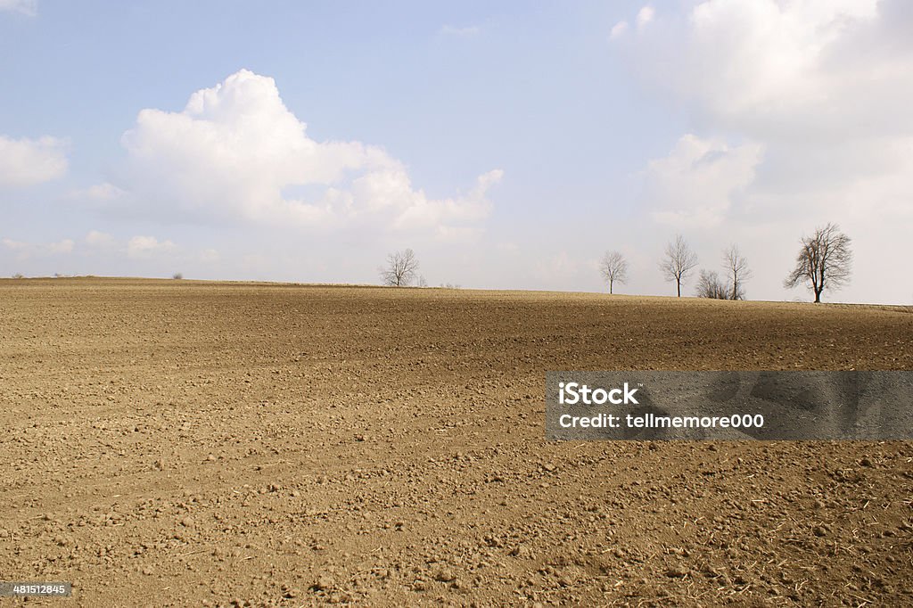 Spring landscape Spring landscape in Poland Agricultural Field Stock Photo