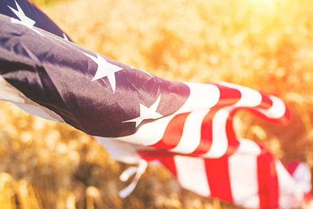 istock American flag flies proudly in the wheat 481513492