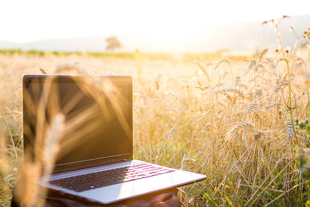 inovação na agricultura - laptop computer grass nature - fotografias e filmes do acervo