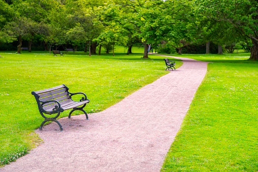 Green summer park in Gothenburg, Sweden. Wooden park bench.