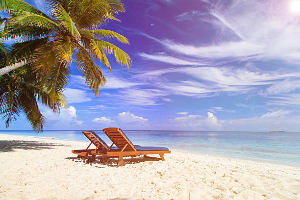 istock Two chairs on the tropical beach 481516386