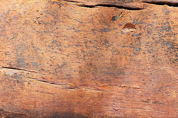Old wood texture stock photo