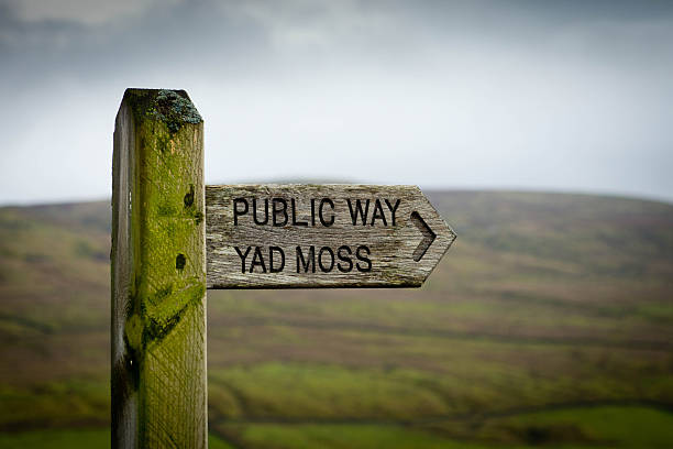 istock Wooden signpost to Yad Moss 481519322