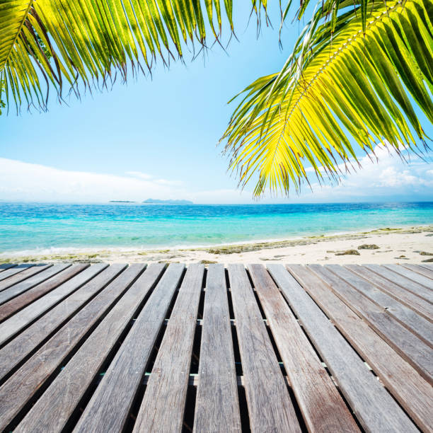 istock Wooden platform beside tropical beach with coconut palm 481520183