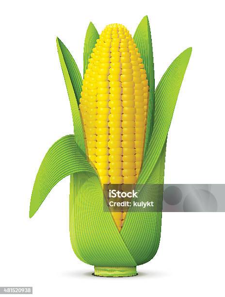 Ear Of Corn With Leaves Close Up Stock Illustration - Download Image Now - Corn On The Cob, Vector, Sweetcorn