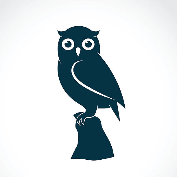 Vector image of an owl on white background Vector image of an owl on white background owl illustrations stock illustrations