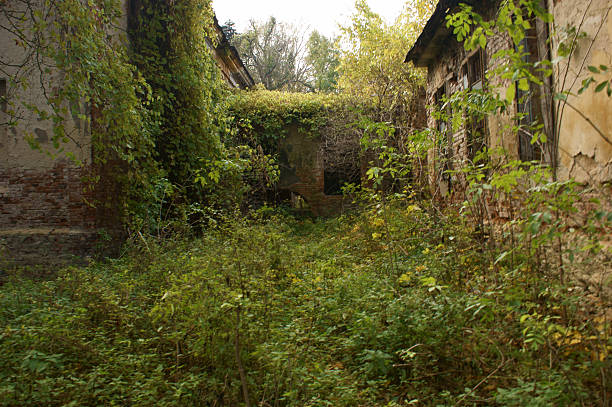istock Manor house in ruins 481523649