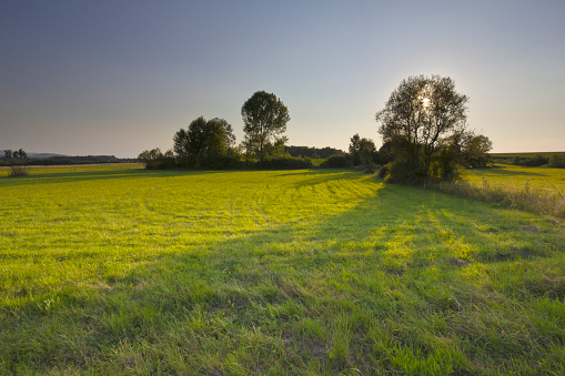 sunset on a nice, summer day in European countyside. photo is taken with dslr camera and wide angle lens.
