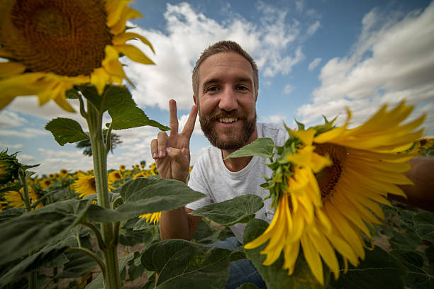 istock Young man in sunflower field taking fun selfie 481523892