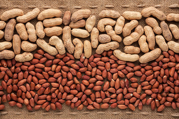 shelled et unshelled cacahuètes allongé sur sackcloth - peanut legume textured effect fat photos et images de collection