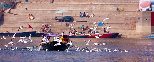 pessoas no barco e aves a voar em torno delas em varanasi - morning river ganges river varanasi imagens e fotografias de stock
