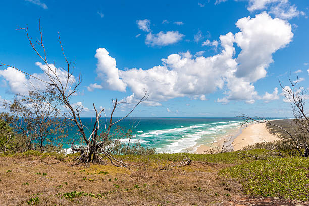 istock Indian Head, Fraser Island - Australia 481531763