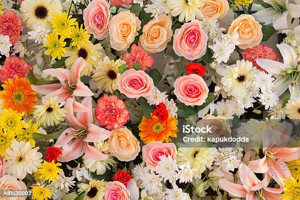 Flores Arreglo Foto de stock y más banco de imágenes de Arreglo - Arreglo, Belleza, Belleza de la naturaleza