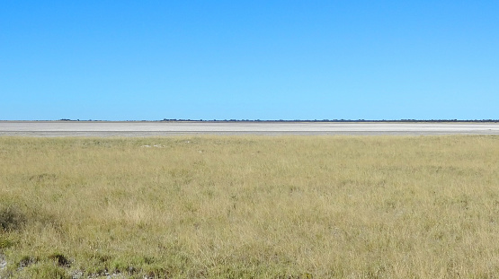 Makgadikgadi Pan in Botswana, Africa