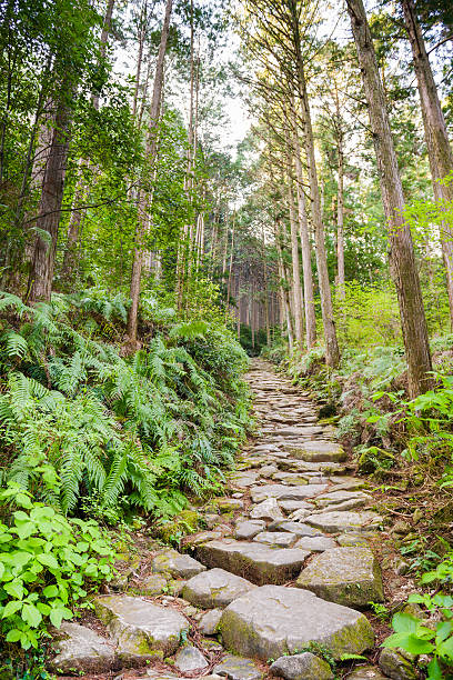 istock Kumano Kodo Sacred Trail 481535158