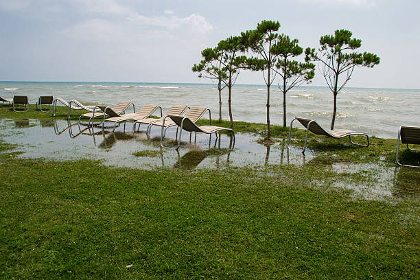 Photo of the seaside resort, chaise longue, black sea, grass, trees Georgia