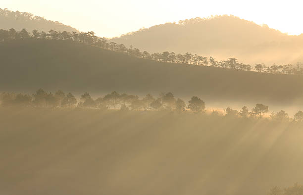 istock Mountain, trees, misty on sunrise 481535810