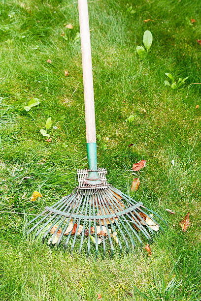 istock care for green lawn by old rake 481537538