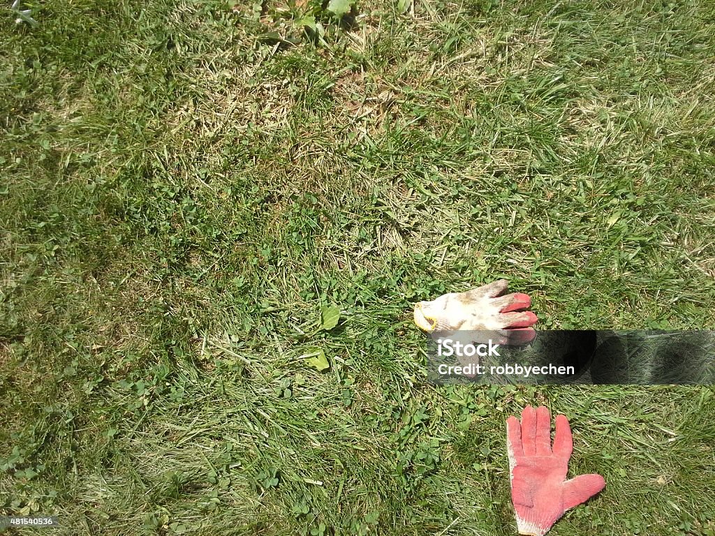 Gloves on the Grass A pair of working gloves on the grass. 2015 Stock Photo