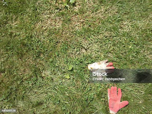 Gloves On The Grass Stock Photo - Download Image Now - 2015, Grass, Green Color