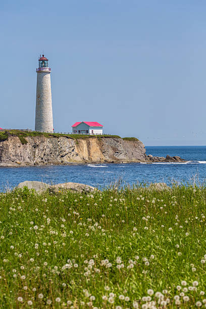 istock Cap Des Rosiers Lighthouse, Gaspesie, Quebec, Canada 481541830