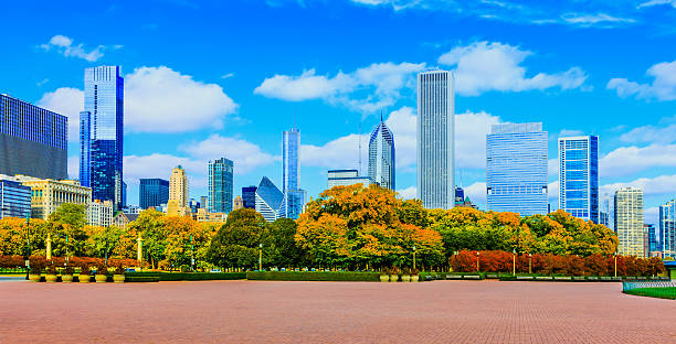 istock Skyscraper of Chicago skyline with autumn foliage, Ill 481541844