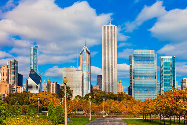 istock Skyscraper of Chicago skyline with autumn foliage, Ill 481541852