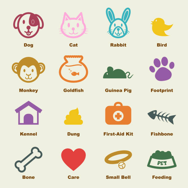 Pet Elements Stock Illustration - Download Image Now - Animal, Animal Body  Part, Animal Bone - iStock