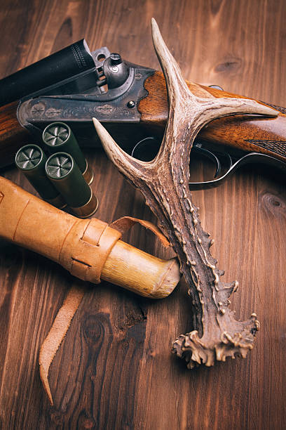 istock Shotgun on wooden background 481542857