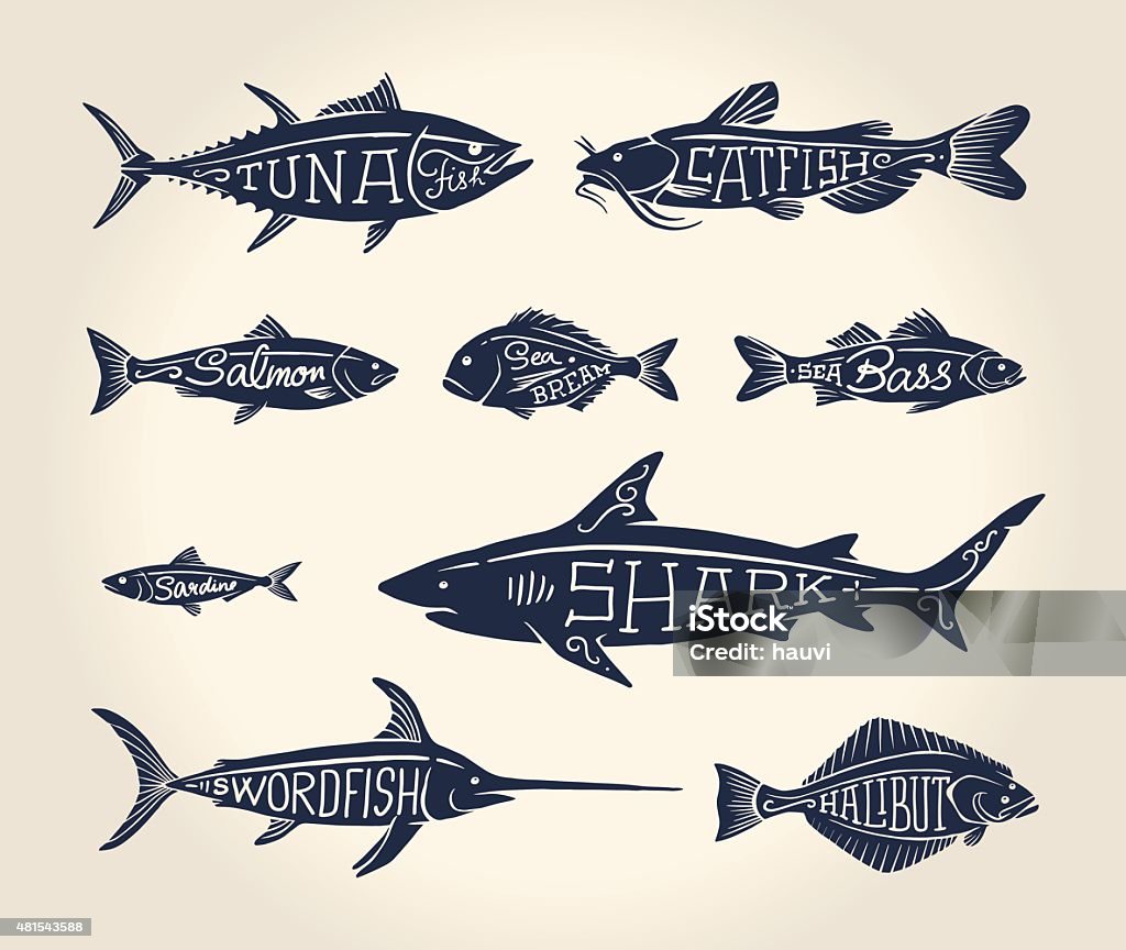 Vintage illustration of fish with names Vintage illustration of fish with names in tattoo style over white background Fish stock vector