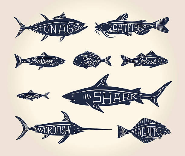 Vintage illustration of fish with names Vintage illustration of fish with names in tattoo style over white background fish silhouettes stock illustrations